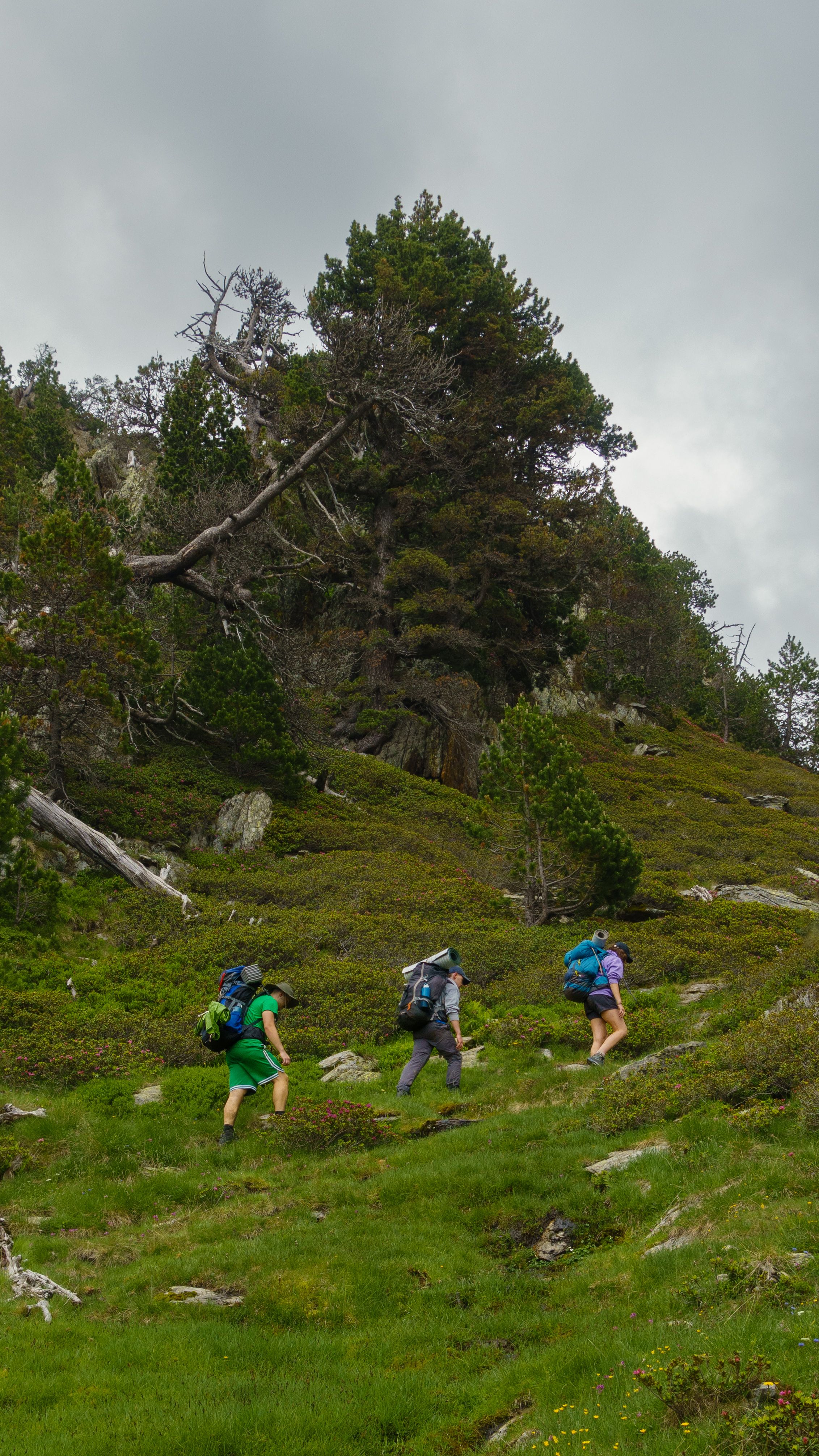 A group hiking through a mountain landscape
